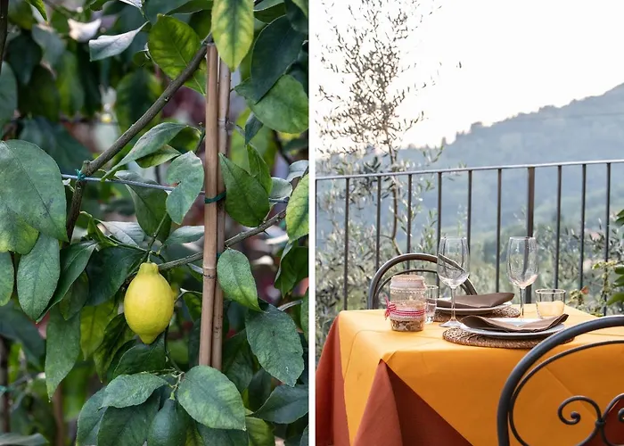 Casetta Di Butia, Glicine * Borgo a Mozzano
