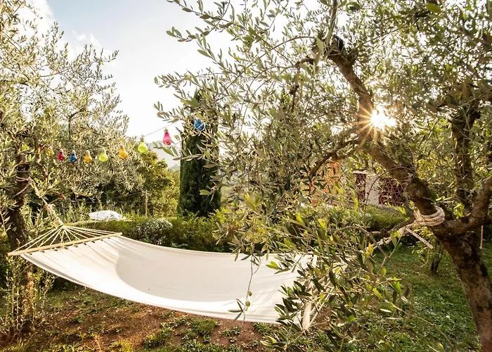 Casetta Di Butia, Glicine